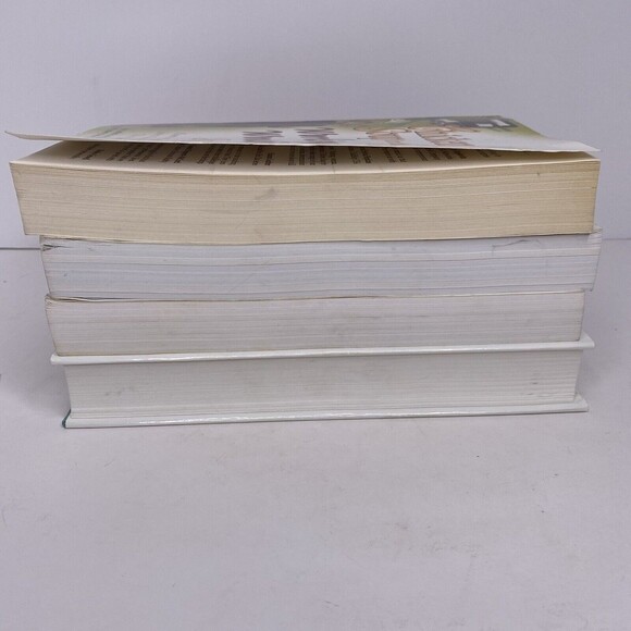 Chicken Soup for the Soul Book Lot Of 4 Working Women Couples Parents - Picture 5 of 9